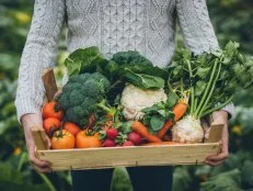 Portrait of happy male carrying vegetables in crate at farm
