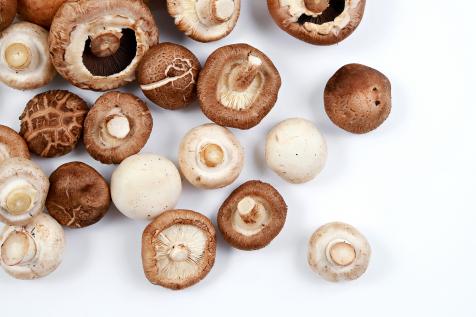 How To Freeze Mushrooms Help Around The Kitchen Food Network Food Network,Best Smoker For Beginners