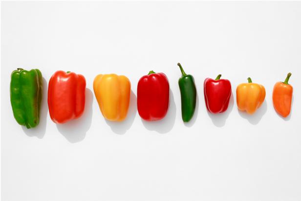 Line of Bell Peppers on white background, large to small.

Peppers arranged neatly.