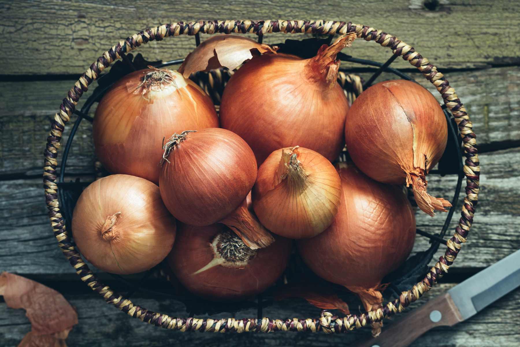 onion shelf life onion shelf life