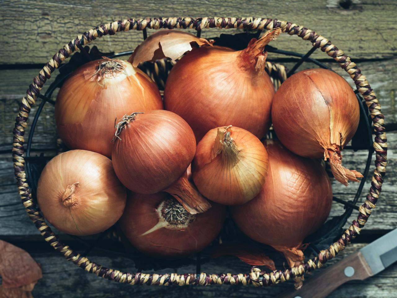 Product Review: The Onion-Shaped Onion Saver