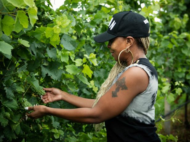 Mary J. Blige Launches New Wine Collection, FN Dish - Behind-the-Scenes,  Food Trends, and Best Recipes : Food Network