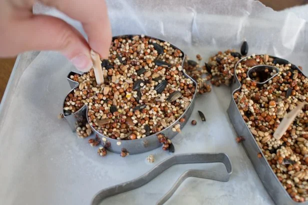 How to Make a Nut Free Bird Feeder: Easy & Safe DIY Guide
