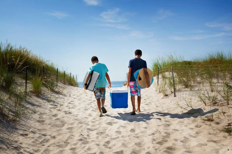 On sweltering summer days there’s no better place to beat the heat. Here is a hit list of dynamite beach bites, plus a few tips on how to pack them up safely. 