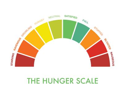 Hunger-Satiety Scale-2 - Your Choice Nutrition