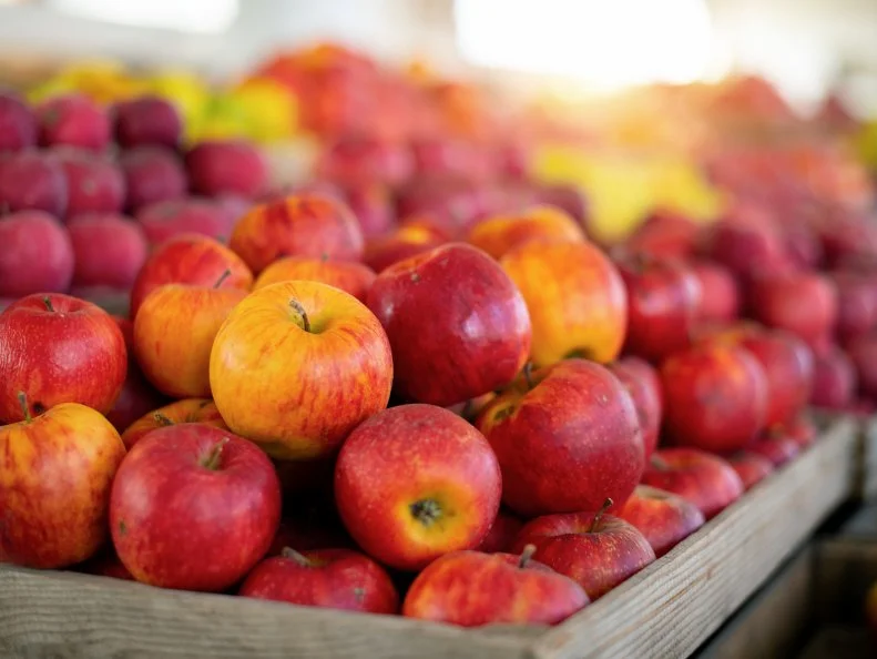 Many piles of apple in the bucket located in the market which shows the freshness of apples.