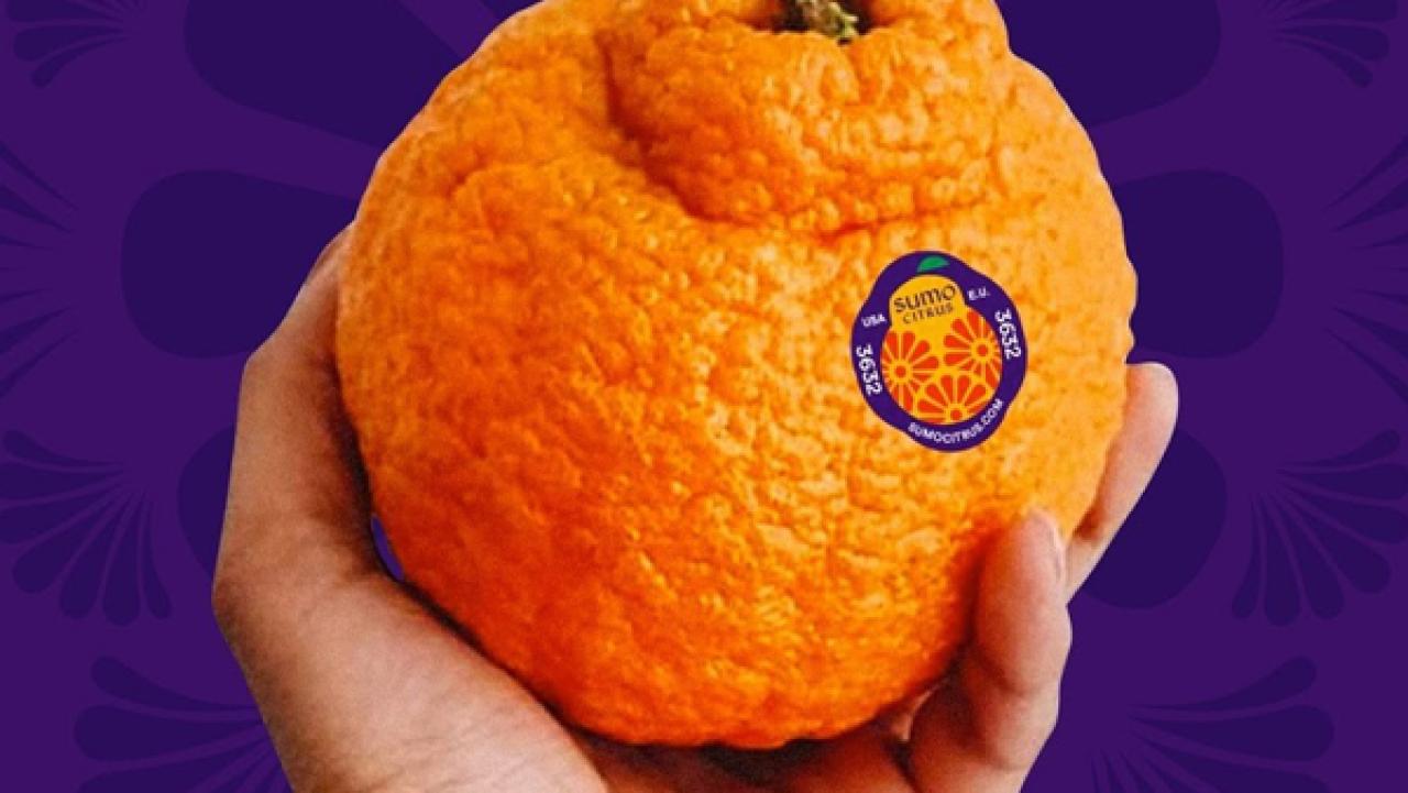 What is a Sumo Orange: Nature's Sweet Gift
