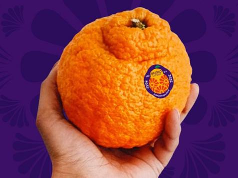 Why are Sumo Oranges trending on TikTok? Internet's latest obsession  explored