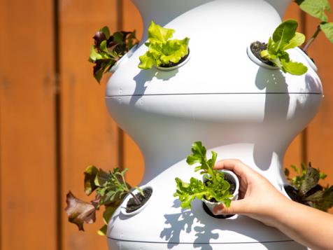 Chipotle Wants You to Grow Your Own Burrito Ingredients