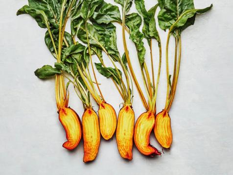 The Best Shops to Buy Vegetable Seeds Online