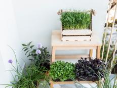 An apartment farm harvest is possible if you keep these tips in mind.