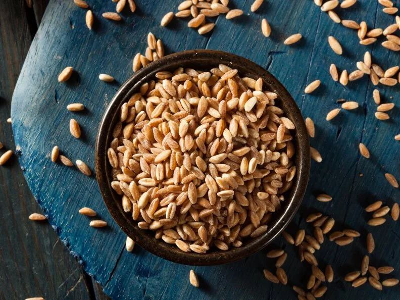 Organic Raw Farro Grain in a Bowl