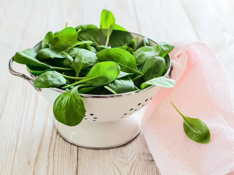 raw fresh spinach in a colander on a rustic wooden table. colored.