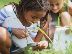 Two multi ethnic elementary school girls are using a magnifying glass outdoors to look closer at the leaves on the ground.