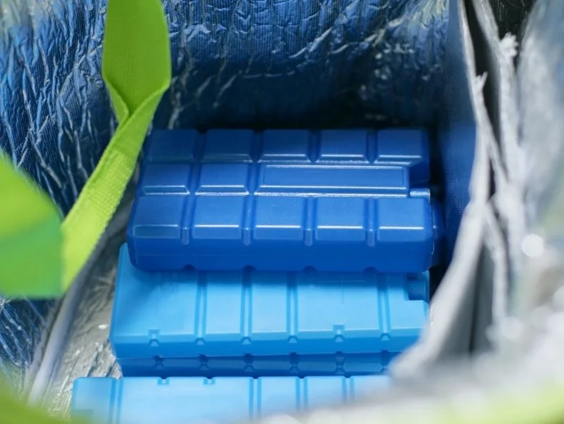 View on the inside of a picnic bag full of blue ice packs