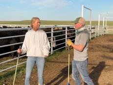Alex and Ladd Drummond Working Cattle