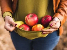 Hands full of apples