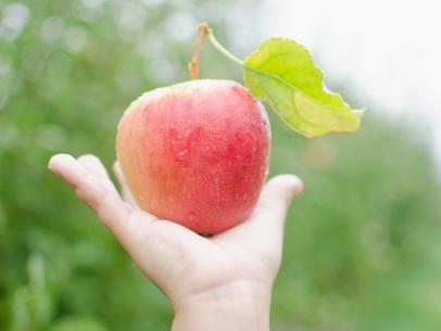 Accurately log a meal's nutrition in Apple Health with this $10