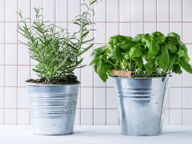 How To Bring Outdoor Herb Garden Inside, Can You Make An Indoor Herb Garden In The Winter