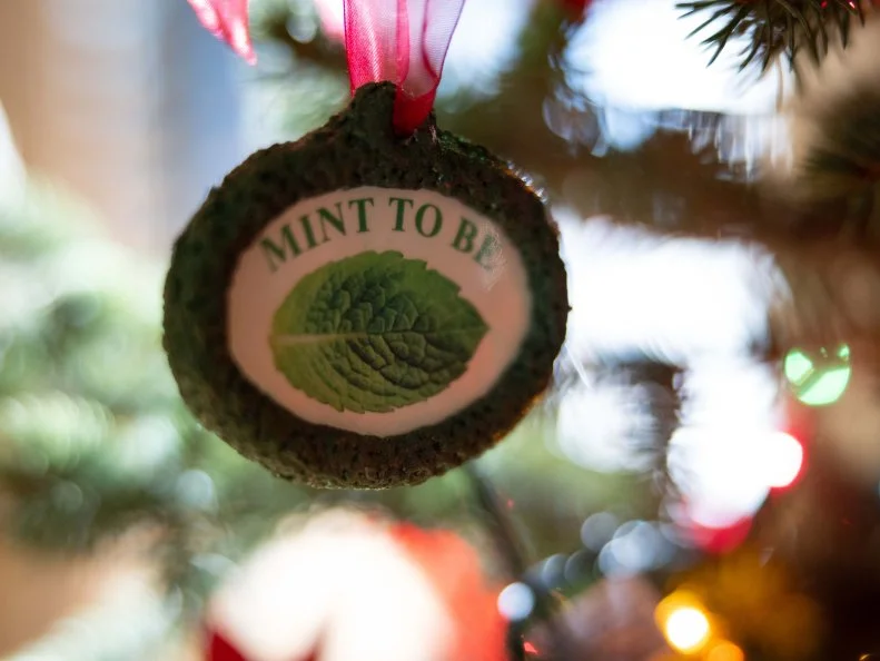 Holiday decorations, as seen on Candy Coated Christmas, Special.