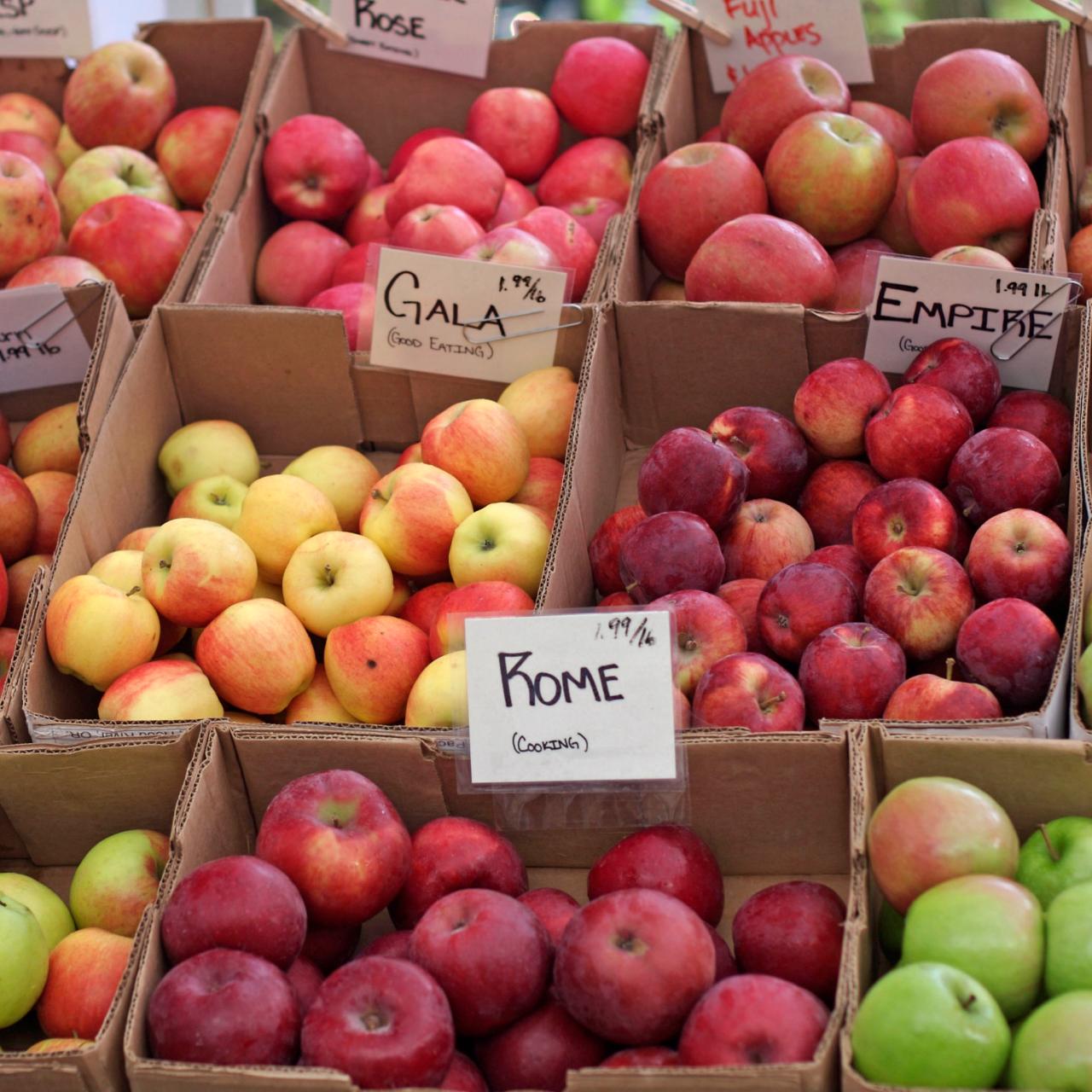 A Guide To 10 Common Apple Varieties, With Recipes