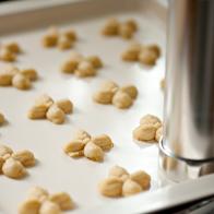 Making cookies with Spritz Cookie Press.