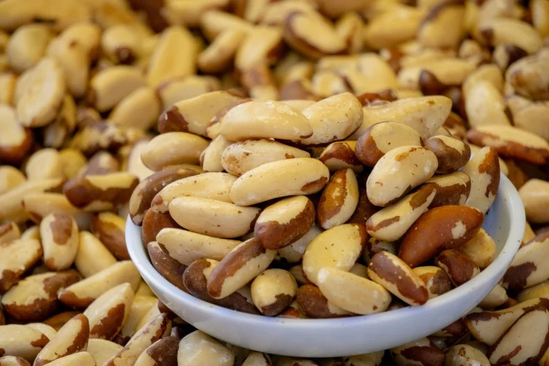 Close up of edible Brazil nuts after shell removal in the bowl.