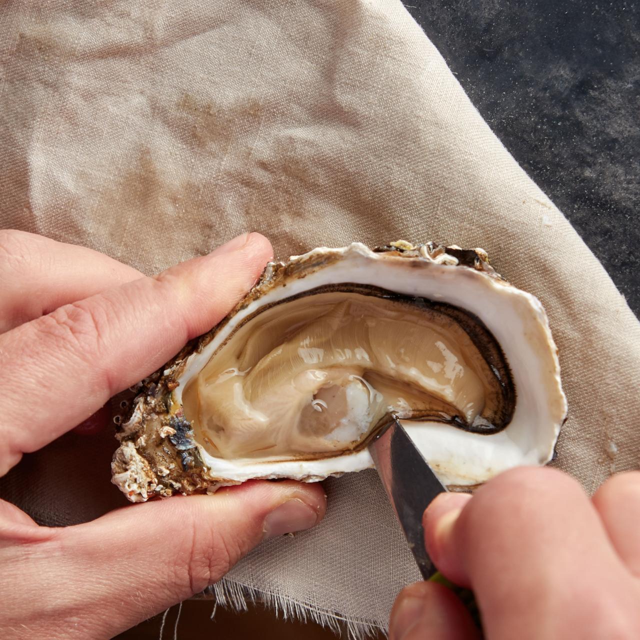 https://food.fnr.sndimg.com/content/dam/images/food/fullset/2021/12/15/oyster-opening-knife-hand-cutting-bottom-adductor-muscle-linen.jpg.rend.hgtvcom.1280.1280.suffix/1639598353215.jpeg