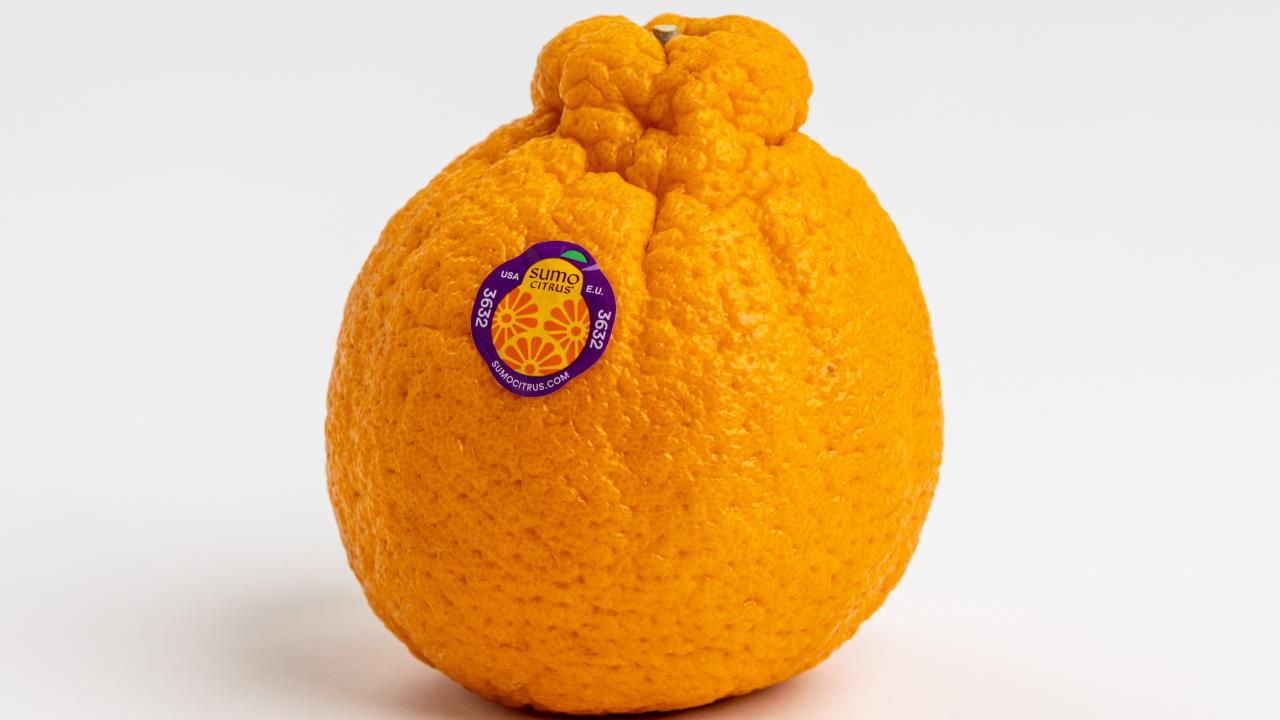 Sumo Citrus to Harvest Its Largest Crop - Citrus Industry Magazine