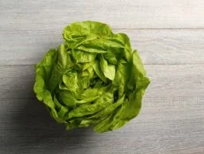 Butter Lettuce
