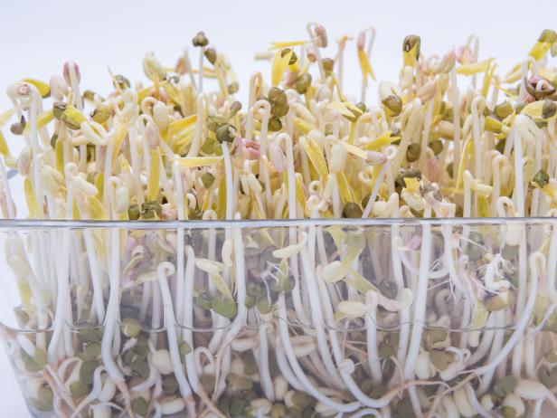 Bean Sprouts on glass bowl, White background