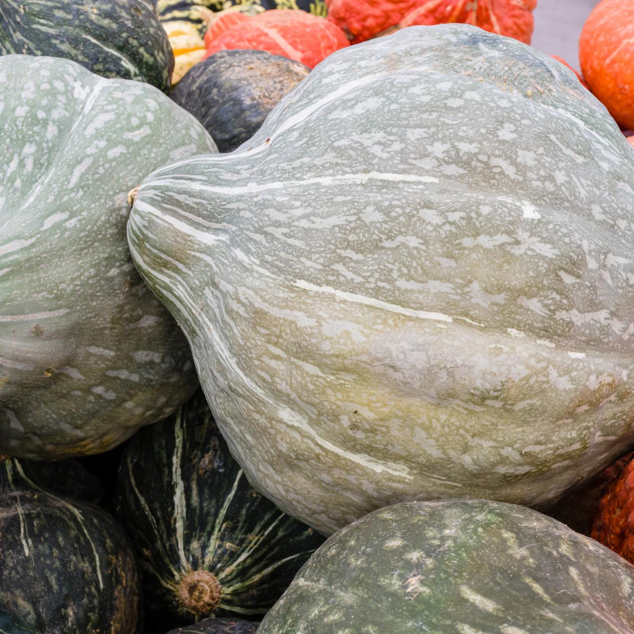 What Is Hubbard Squash? And How to Cook It | Cooking School | Food Network