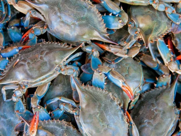 Fresh Blue Crabs for sale in Arthur Ave, the Bronx NYC