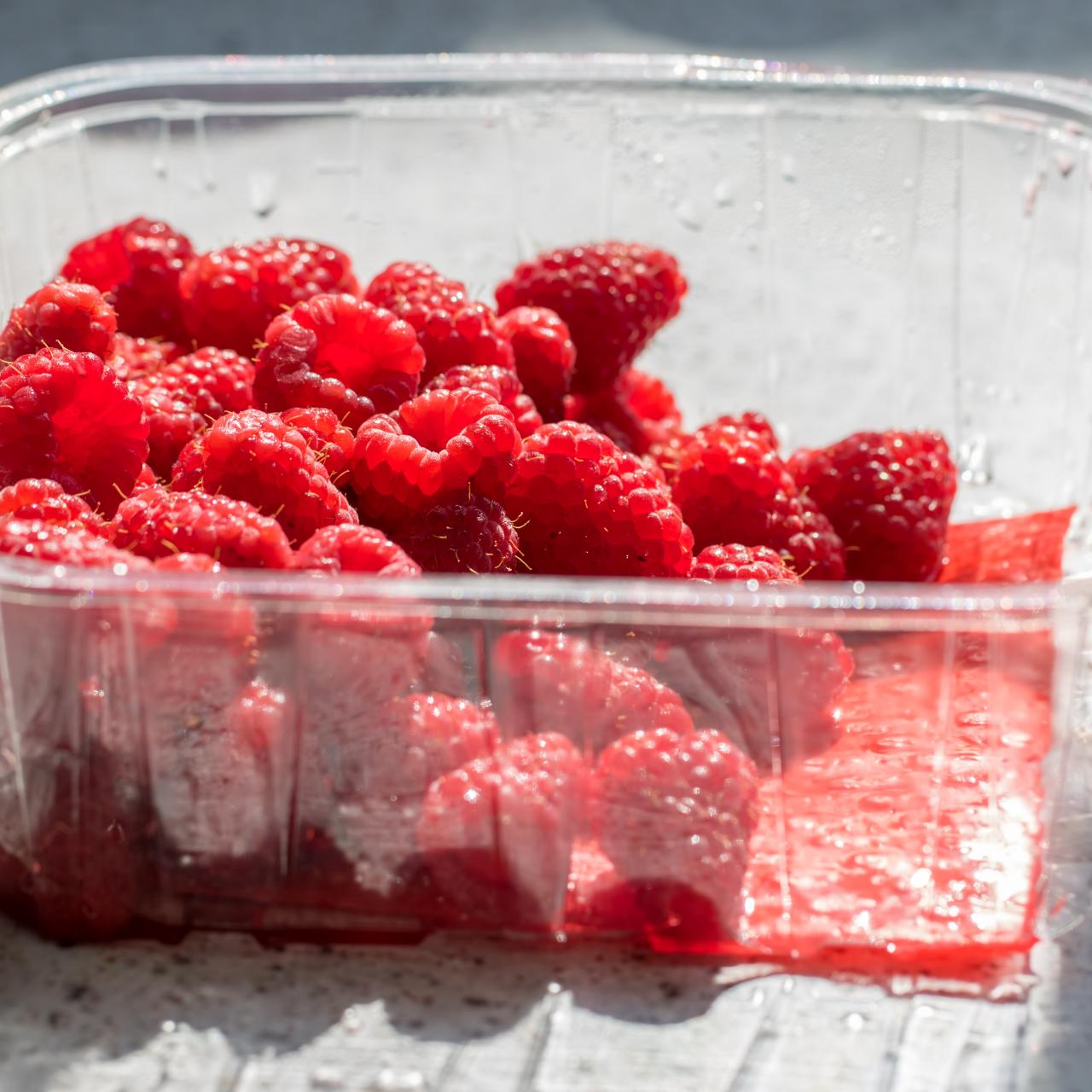 https://food.fnr.sndimg.com/content/dam/images/food/fullset/2022/02/16/plastic-container-raspberries.jpg.rend.hgtvcom.1280.1280.suffix/1645037657026.jpeg