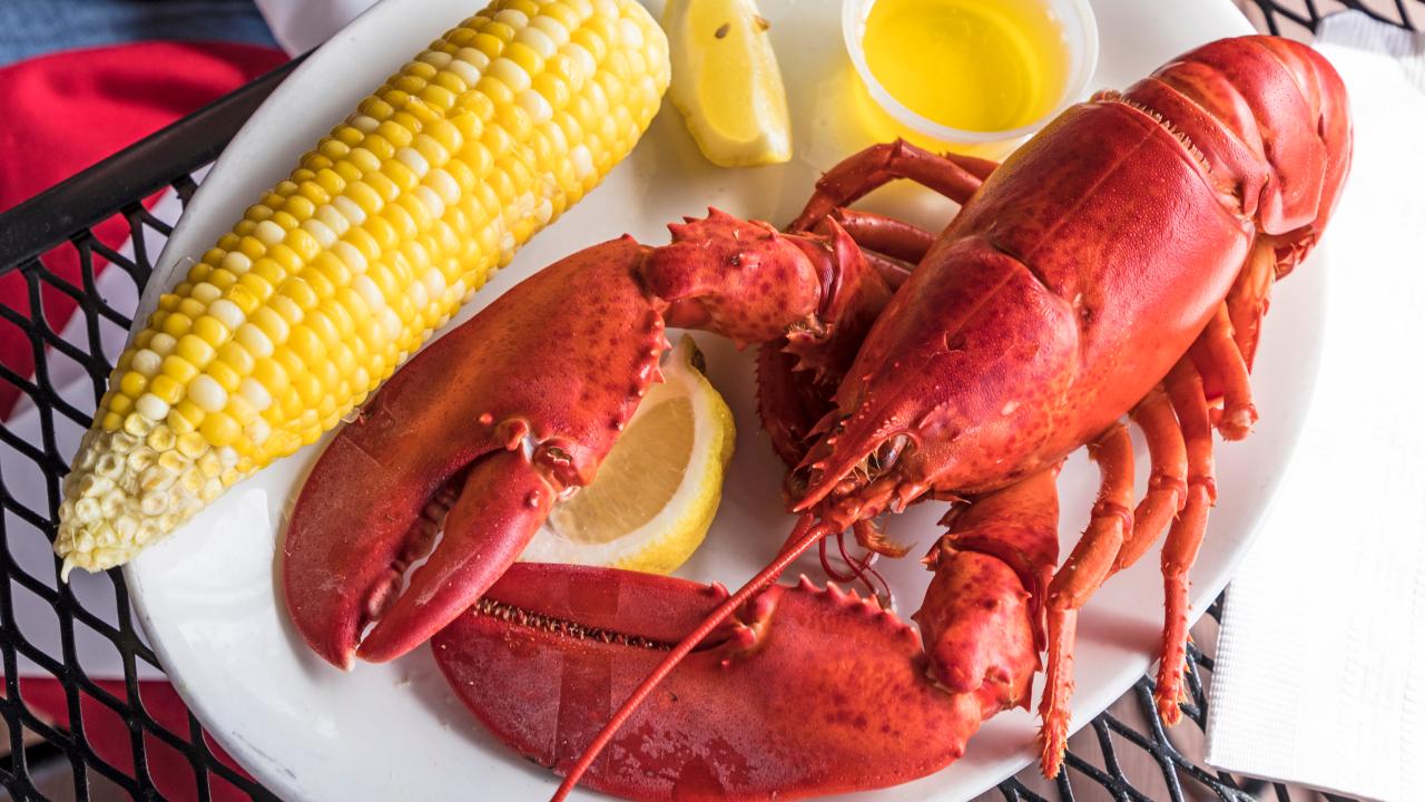 Lobster Internal Cooking Temp