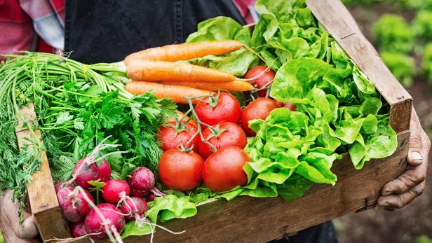 How to Use Up Everything In Your CSA Box, According to Chefs