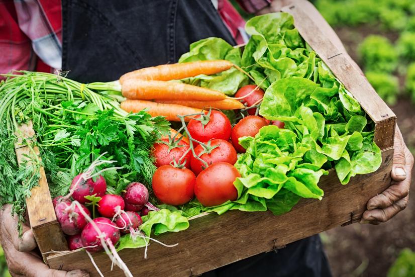 Chefs' Best Tips for Using Up Everything in Your CSA Box