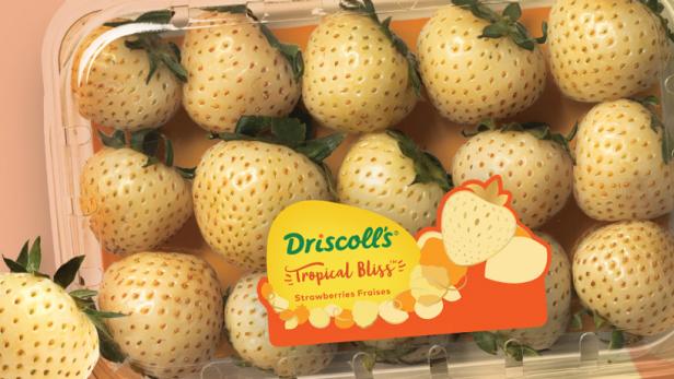 Driscoll’s Developed a Golden Strawberry That Tastes Like Tropical Punch