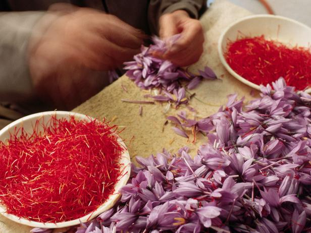 Harvesters pick the three red-orange stigma from each saffron crocus blossom to be sold as the saffron spice. It takes approximately 70,000 blossoms to produce a pound of spice, roughly equivalent to $300-$400 per pound for the farmer. | Location: San Pedro, La Mancha, Spain.