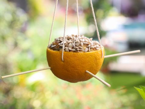 Homemade Bird Food and Bird Feeder