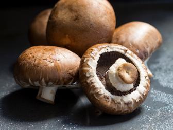 Fresh Agaricus bisporus mushrooms, a popular cultivated mushroom for use in savory cooking, displayed with the gills showing over a dark background.