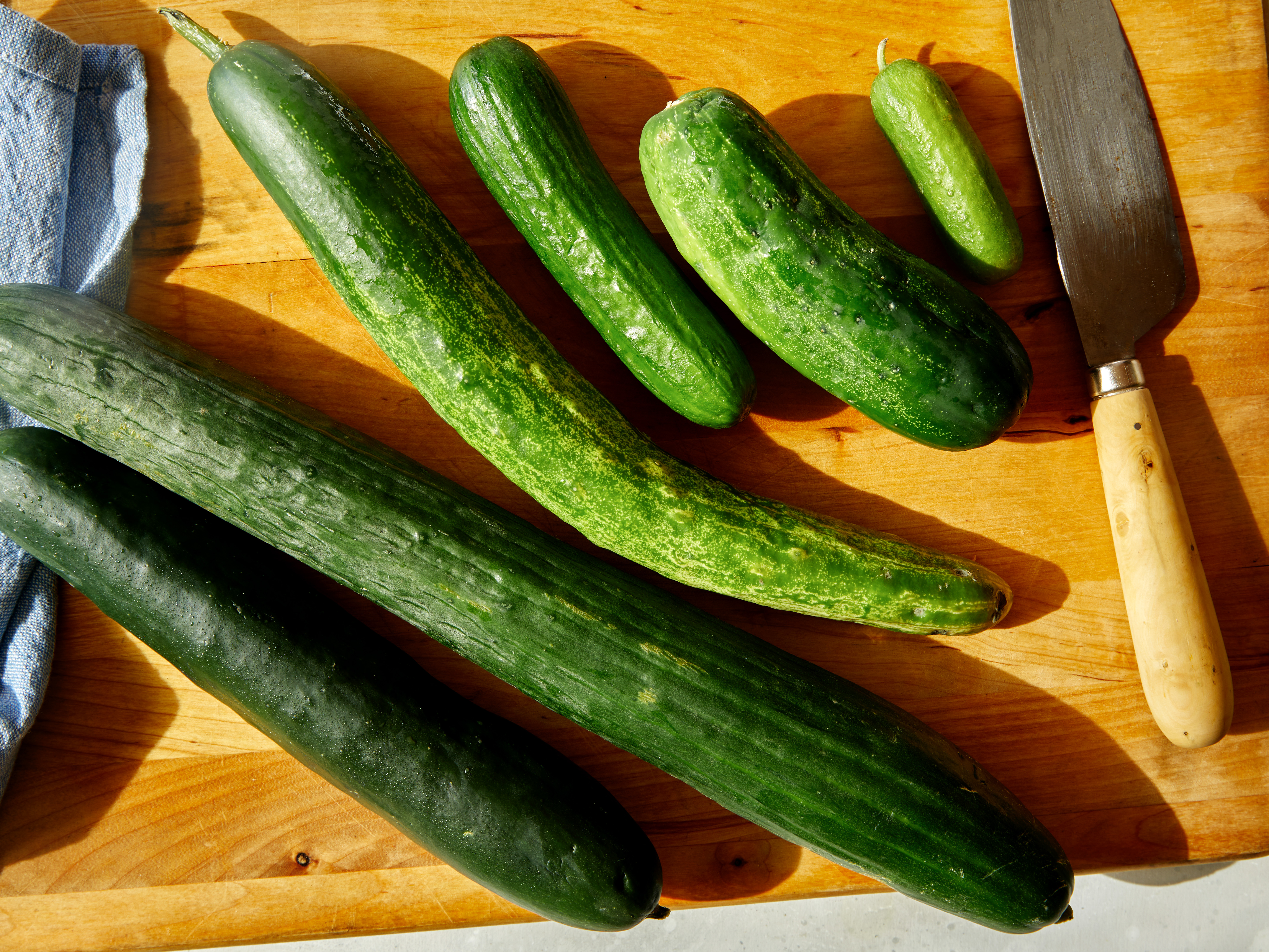 Artificial Vegetable Green Cucumber Box of 6 Fake Garden Vegetable 7" Cucumbers 
