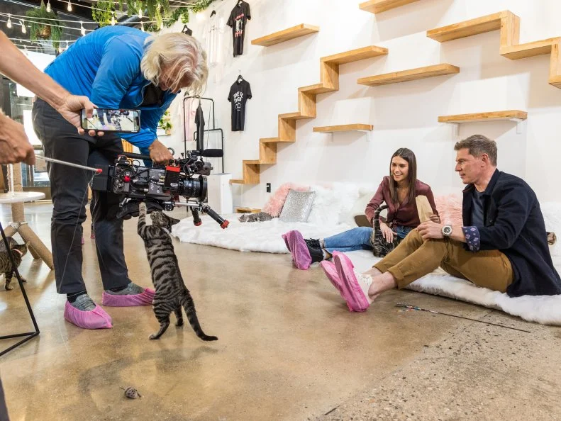 Host Bobby and Sophie Flay play with cats at Crumbs and Whiskers in Hollywood, CA, as seen on Bobby and Sophie Take the Coast, Season 1.