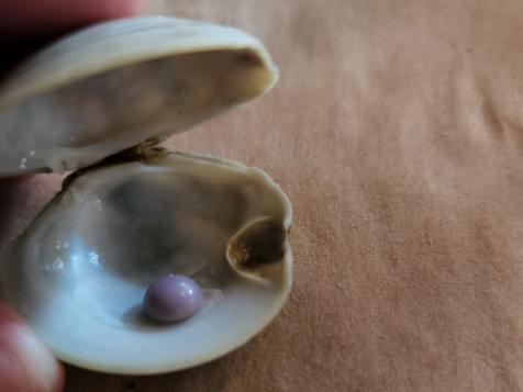 are clam pearls valuable