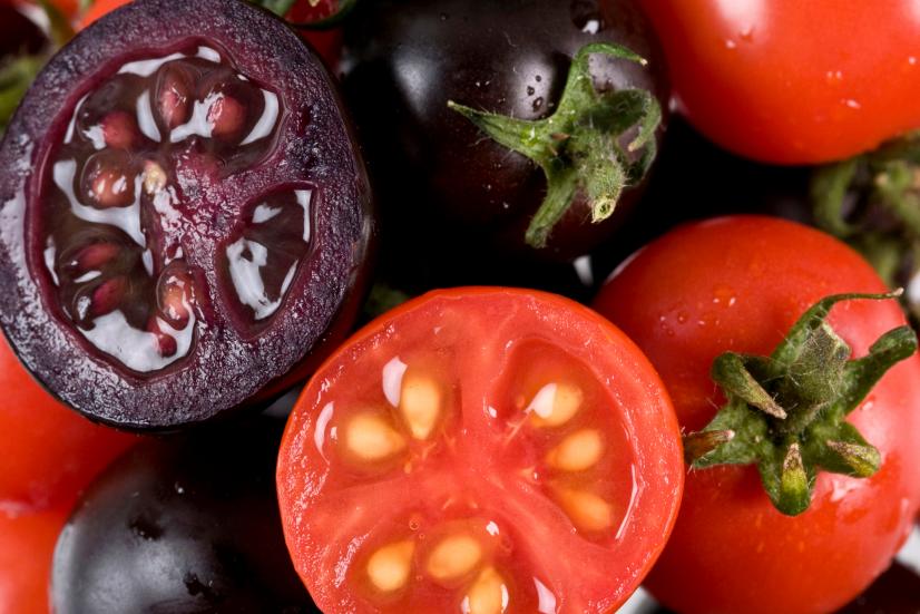 Why You Might Start Seeing Purple Tomatoes Soon