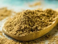 Garam Masala in a spoon