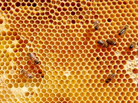 7 Things You Didn't Know About Beekeeping