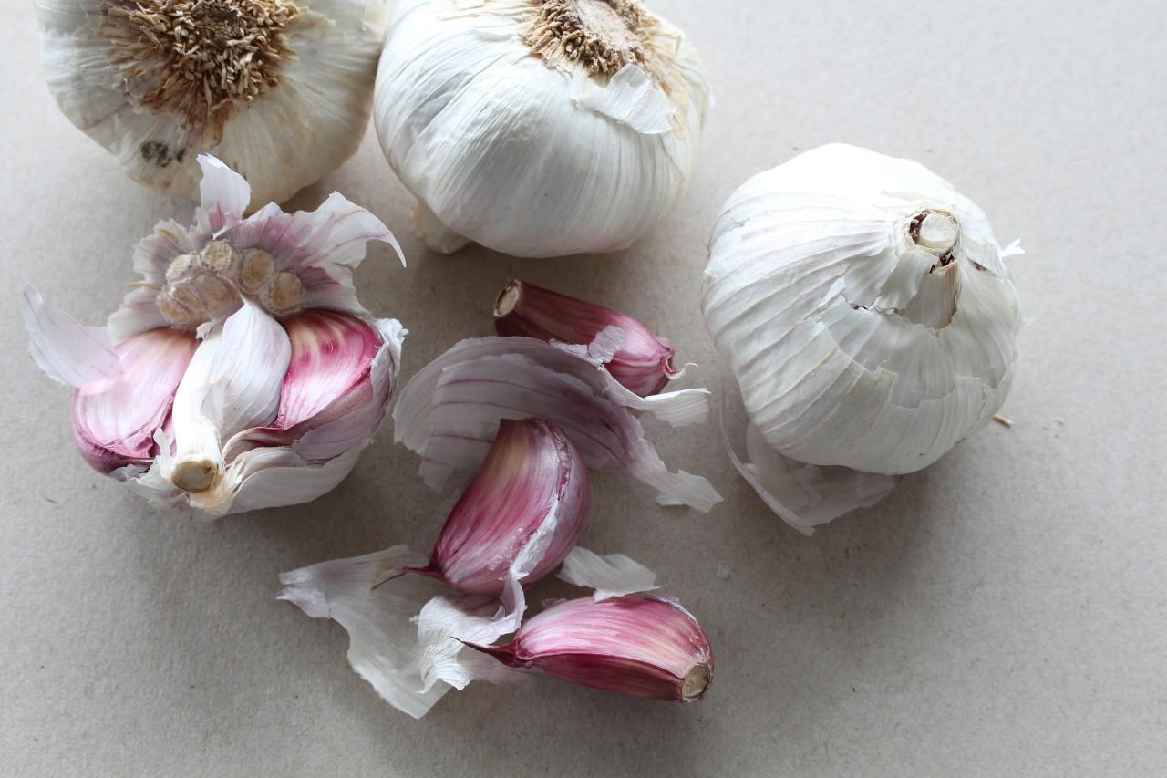 How Long Does Garlic Last? Cooking School Food Network