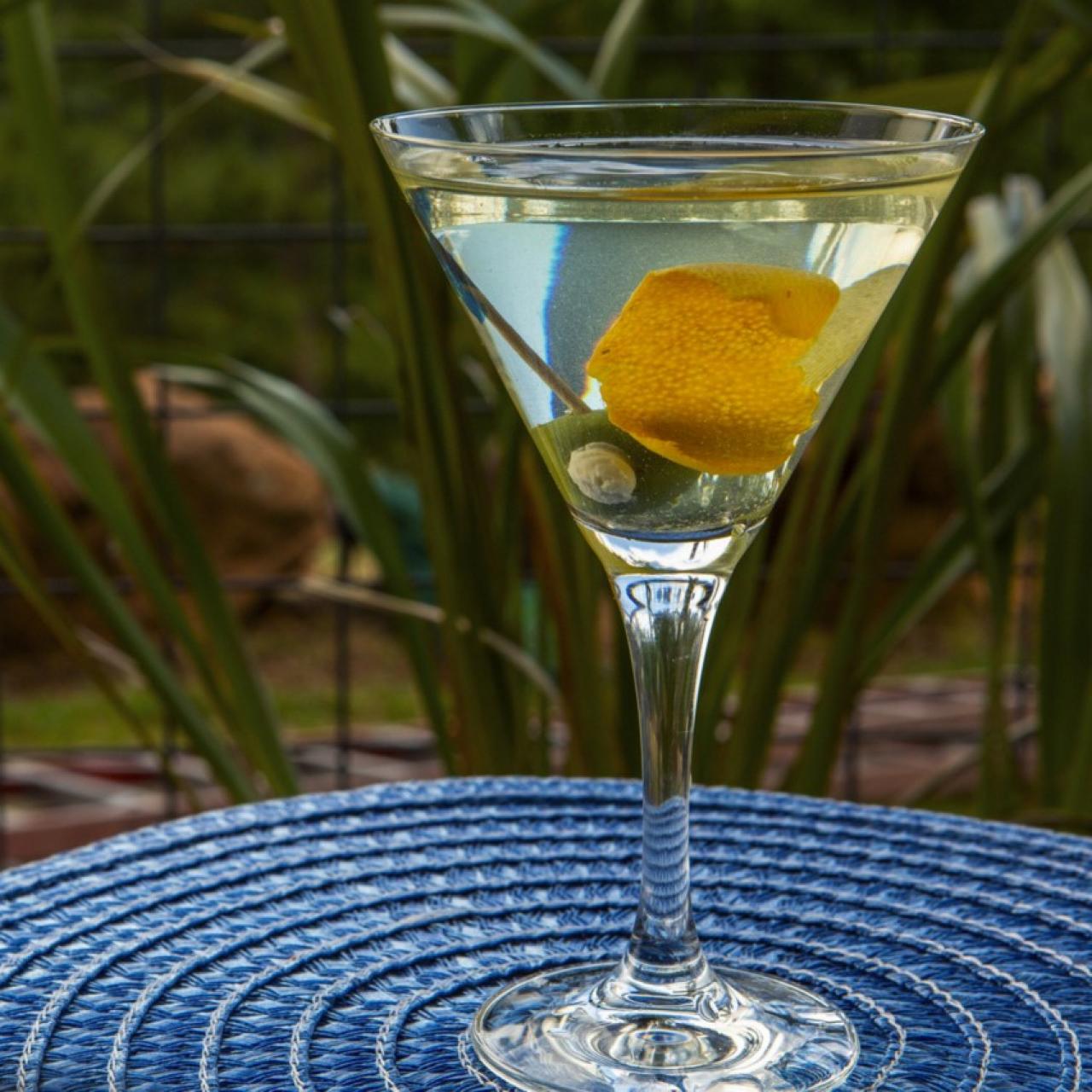 How to Make a Dry Martini Cocktail - Food Faith Fitness