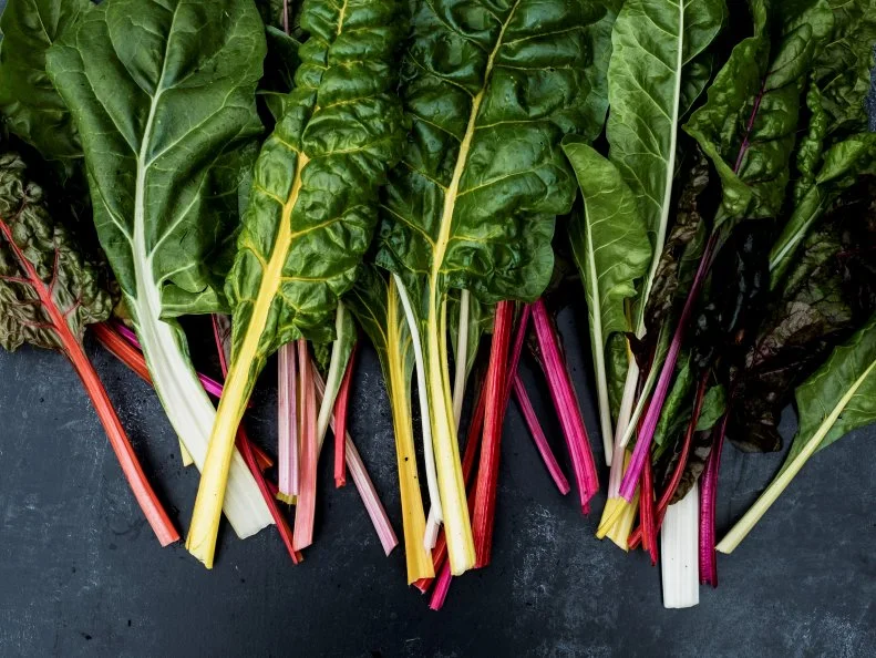 High angle close up of a bunch of freshly picked Swiss rainbow chard on grey background.